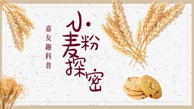 尊龙凯时趣科普：探秘小麦粉