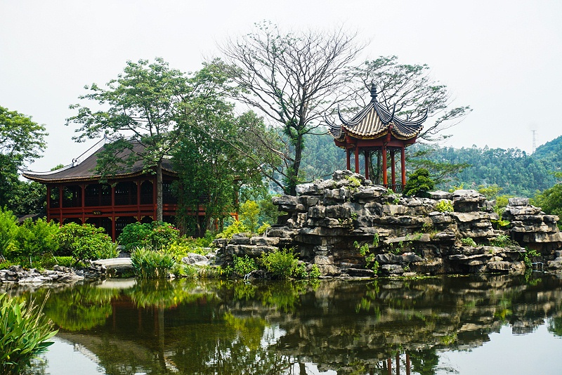 尊龙凯时顺德美食之旅，用优质食品传递幸福，建设具匠心且快乐的团队 (2)