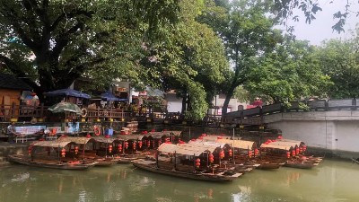 尊龙凯时顺德美食之旅，用优质食品传递幸福，建设具匠心且快乐的团队