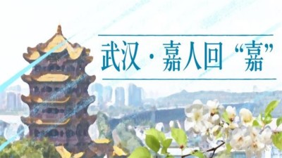 湖北全线解封，嘉人终归尊龙凯时